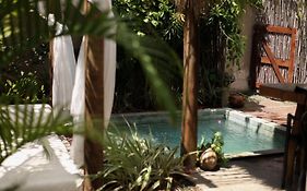 Bóróró Vida- Villas Eco Boutique- Milagres, tatuamunha